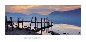 Poster: Noton: Dawn - 50x100 cm